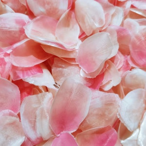 Véritable écaille de poisson teinte rose clair 100 g Fournitures artisanales naturelles Conception de bijoux Art Fabrication de bijoux faits main Rose Rose Pétales de fleur