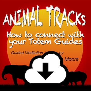 Animal Tracks DL