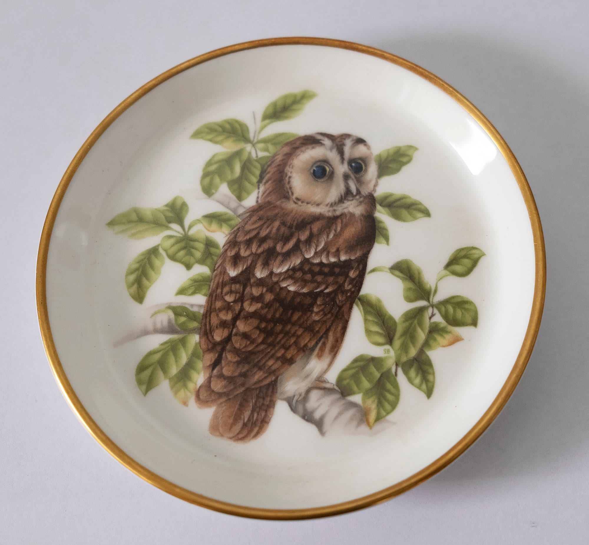 The Tawny Owl Collectors plate