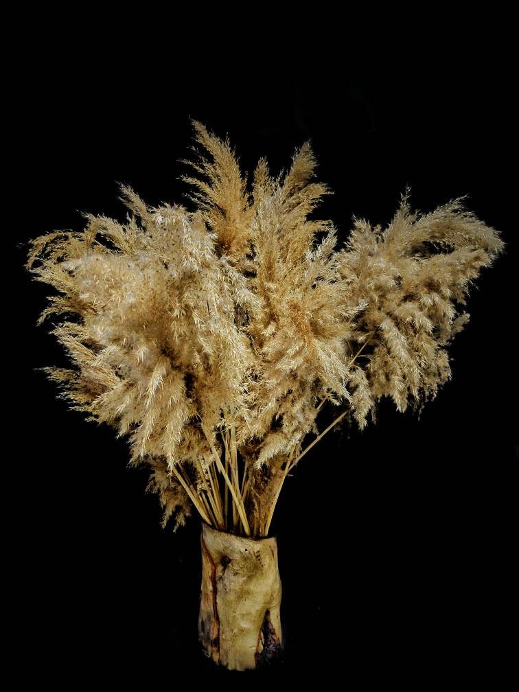 Reeds dried flowers as a beautiful decoration for your sweet Etsy