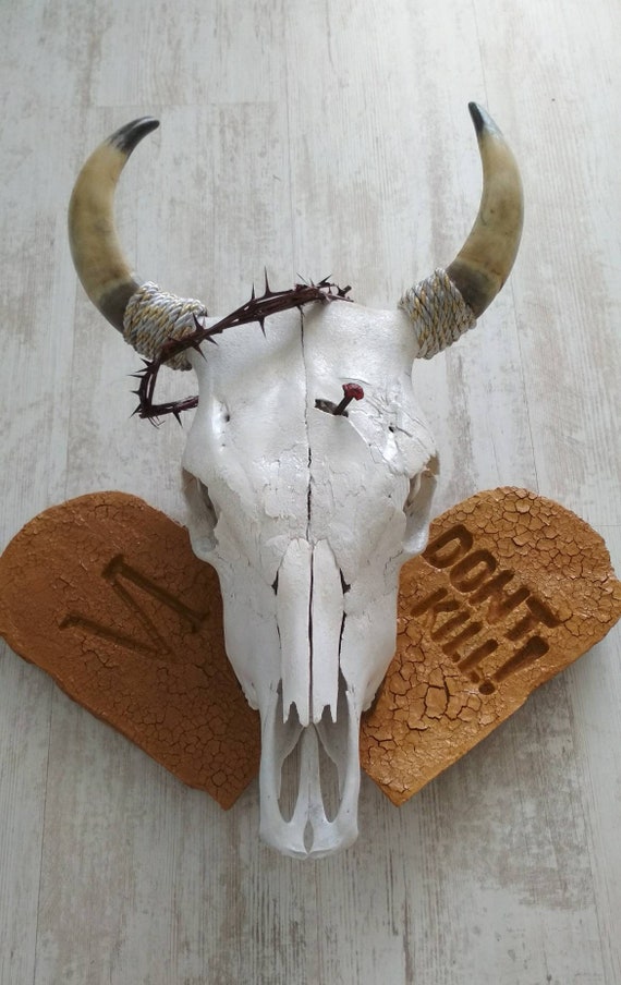 Wall Decoration With Real Bull Skull And The Law Of New Etsy