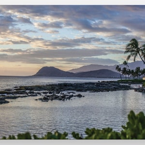 Postal - Oahu (pacote de 4)