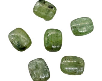 Silver Schiller Kyanite Bead Parcel | 10x8mm | Green Silver | 6 Beads |