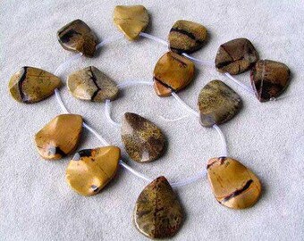 Puede incluir: Una colección de piedras pulidas de forma irregular en tonos marrón, beige y dorado, ensartadas con un cordón blanco. Las piedras tienen patrones y texturas únicos, adecuadas para la fabricación de joyas o manualidades.