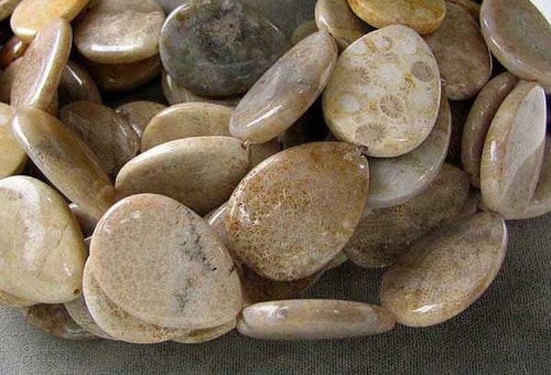 Fossilized Coral Flat Pear Pendant Bead Strand 107084
