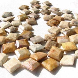 2 Designer Fossilized Coral Unique Square Beads 008933