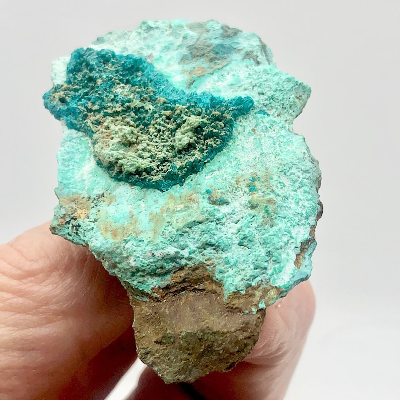 Green 2.25x1.5x.75 Stunning Dioptase on Chrysocolla Display Specimen