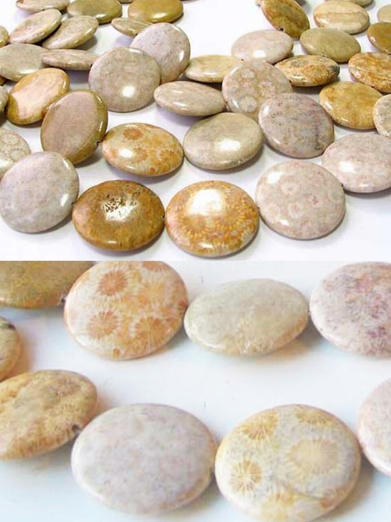Fossilized Coral 35mm Coin Pendant Bead Strand 109156