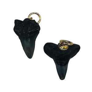 Shark Teeth Natural Fossilized Pendants | 1&quot; Long | Grey, White | 2 Pendants |