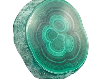 Malachite 36g Polished Round Stalactite Slice | 43x3=x8mm | Green | 1 Specimen |