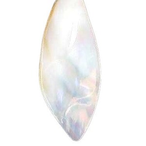 Exotic White Ebony Shell Pendant Bead | 40x15x7 | 1 Bead |