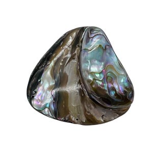 Abalone gångjärnssnäckspärla | 38x42x12 till 36x38x11mm | Silverrosa | 1 pärla