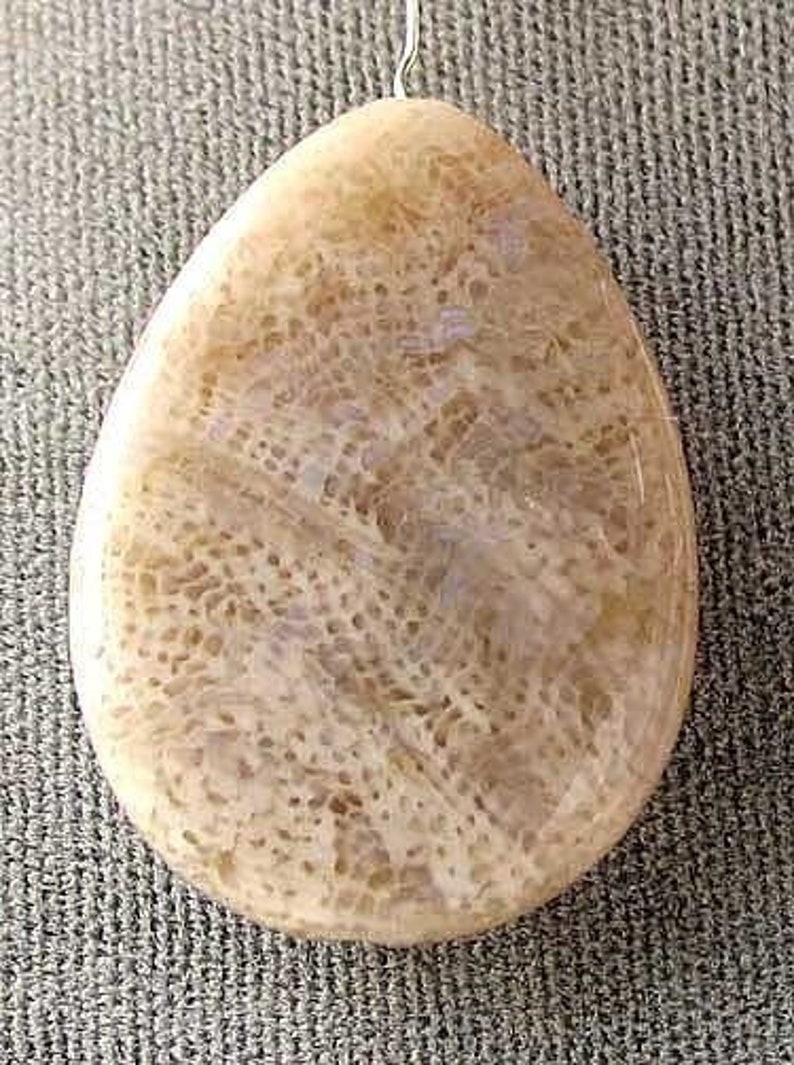 Fossilized Coral Flat Pear Pendant Bead Strand 107084