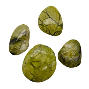 May include: Four tumbled stones in shades of green and yellow, with dark veining patterns. The stones have smooth, polished surfaces and varying shapes, including oval and rounded forms. The overall aesthetic is natural and earthy.