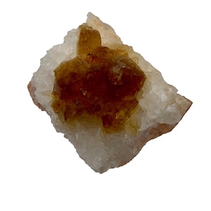 Esemplare di citrino naturale Rootbeer Display Specimen Glorious / 22x24x27mm /