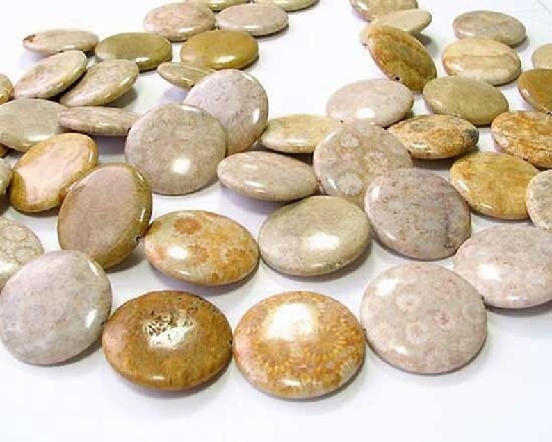 Fossilized Coral 35mm Coin Pendant Bead Strand 109156