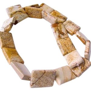 Scenic Biggs Picture Jasper 16&quot; Pendant Bead Strand | 20mm | 20 Beads |