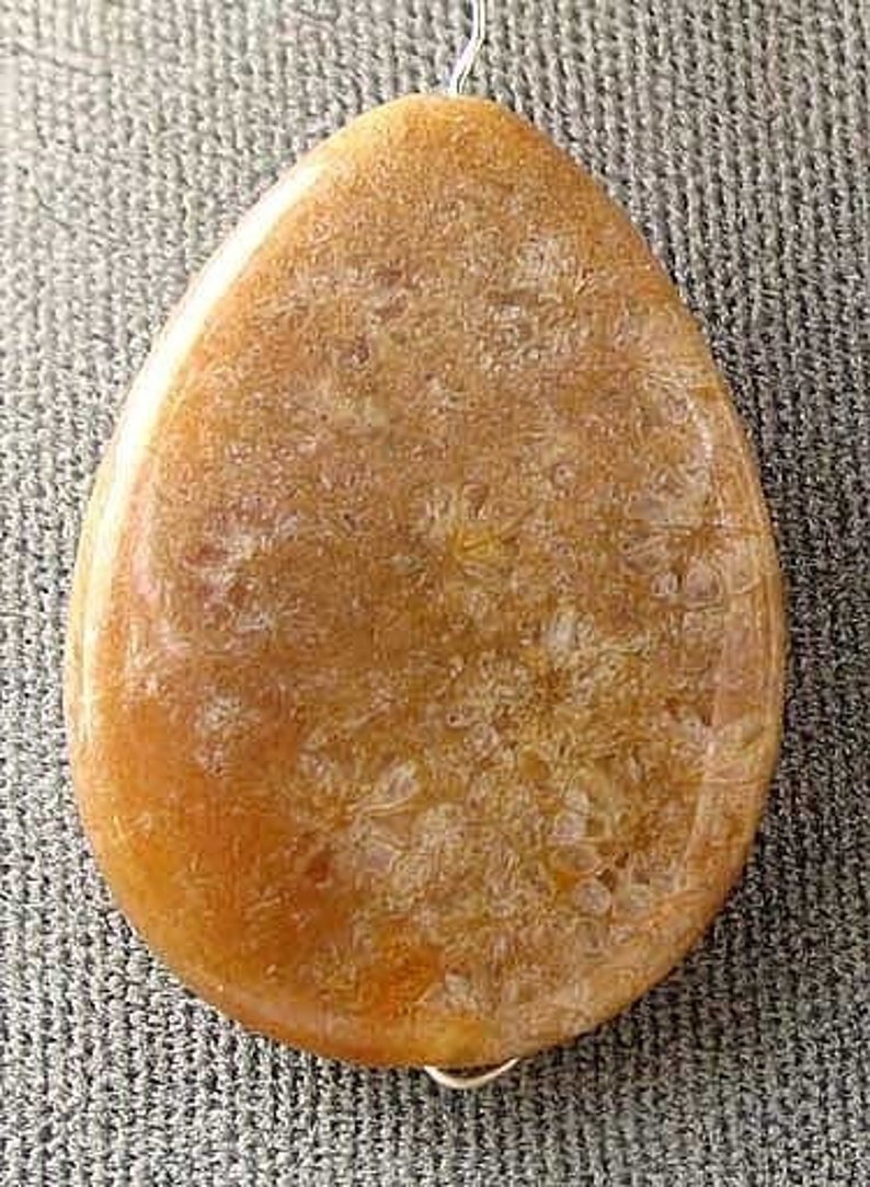 Fossilized Coral Flat Pear Pendant Bead Strand 107084