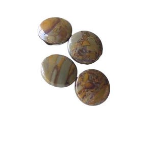 May include: Four polished, round stones with a mix of earthy tones. The stones feature a variety of colors, including brown, tan, and cream, with unique patterns and textures. The stones are smooth and glossy.