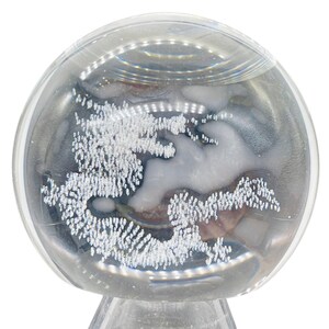 Drago in sfera di quarzo 233 g (8 once) / 55 mm (2,2") / Trasparente / 1 esemplare da esposizione /