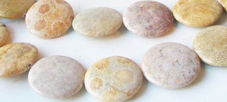 Fossilized Coral 35mm Coin Pendant Bead Strand 109156
