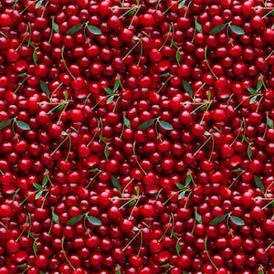Cherries Fabric, Fruit Fabric, Fabric by Yard, Half Yard, Cotton Fabric, Windham, Life is a Bowl Cherries Whistler Studios, I Spy Quilt