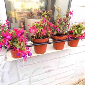 Window Display Rail...................................................Wrought Iron (Forged Steel) Handmade in UK + Free Fitting Kit.
