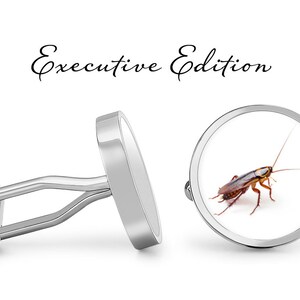 May include: A pair of silver cufflinks, one with a plain silver face and the other with a round image of a cockroach.
