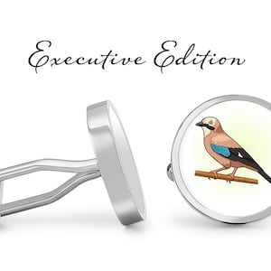 Eurasian Jay Bird Cufflinks: Silver-Plated Steel, USA Made