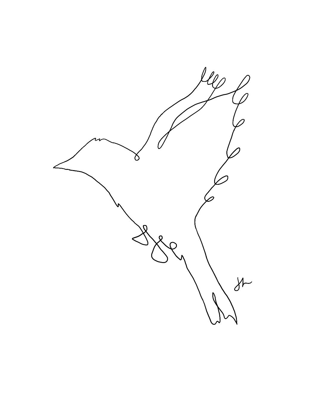 Bird Line Drawing digital download | Etsy