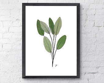 Sage herb drawing (Digital Download)