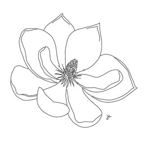 Magnolie, Louisiana State Flower Bild (Digitaler Download)