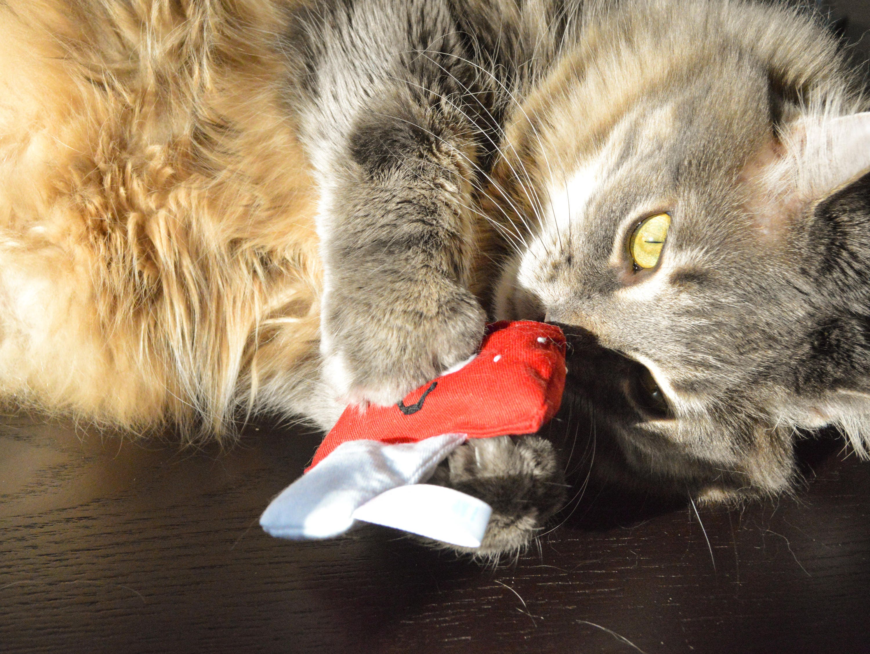 Catnip Cat Toy Magic Mushrooms Valerian Cat Toy Cute Cat Toy Etsy Canada