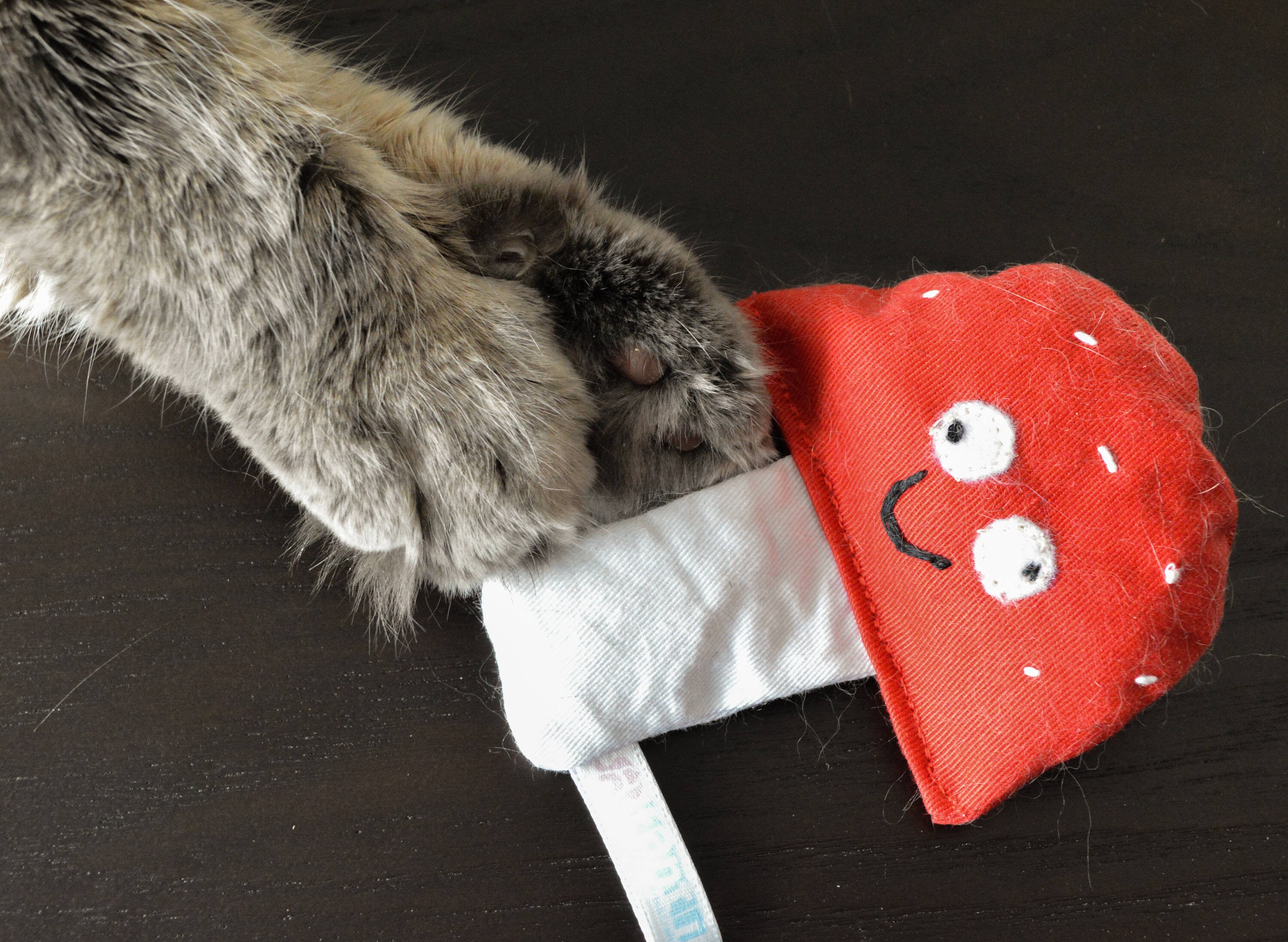 Catnip Cat Toy Magic Mushrooms Valerian Cat Toy Cute Cat Toy Etsy Canada