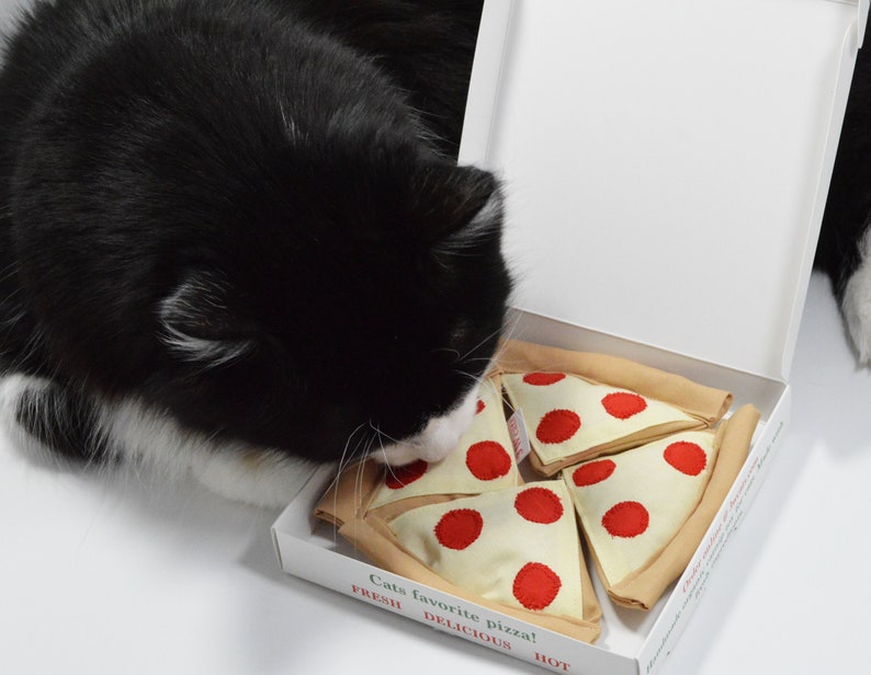 cat enjoying the best catnip pizza cat toy ever from 3wcats