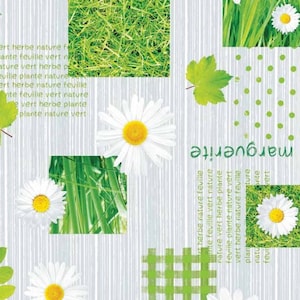 Könnte beinhalten: Ein weißer Hintergrund mit grünem Gras, Blättern und Gänseblümchen. Das Wort "Marguerite" ist in grünen Buchstaben auf der rechten Seite des Bildes geschrieben.
