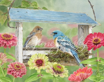 Zinnia Bird Feeder - fine art print by Jane Shasky