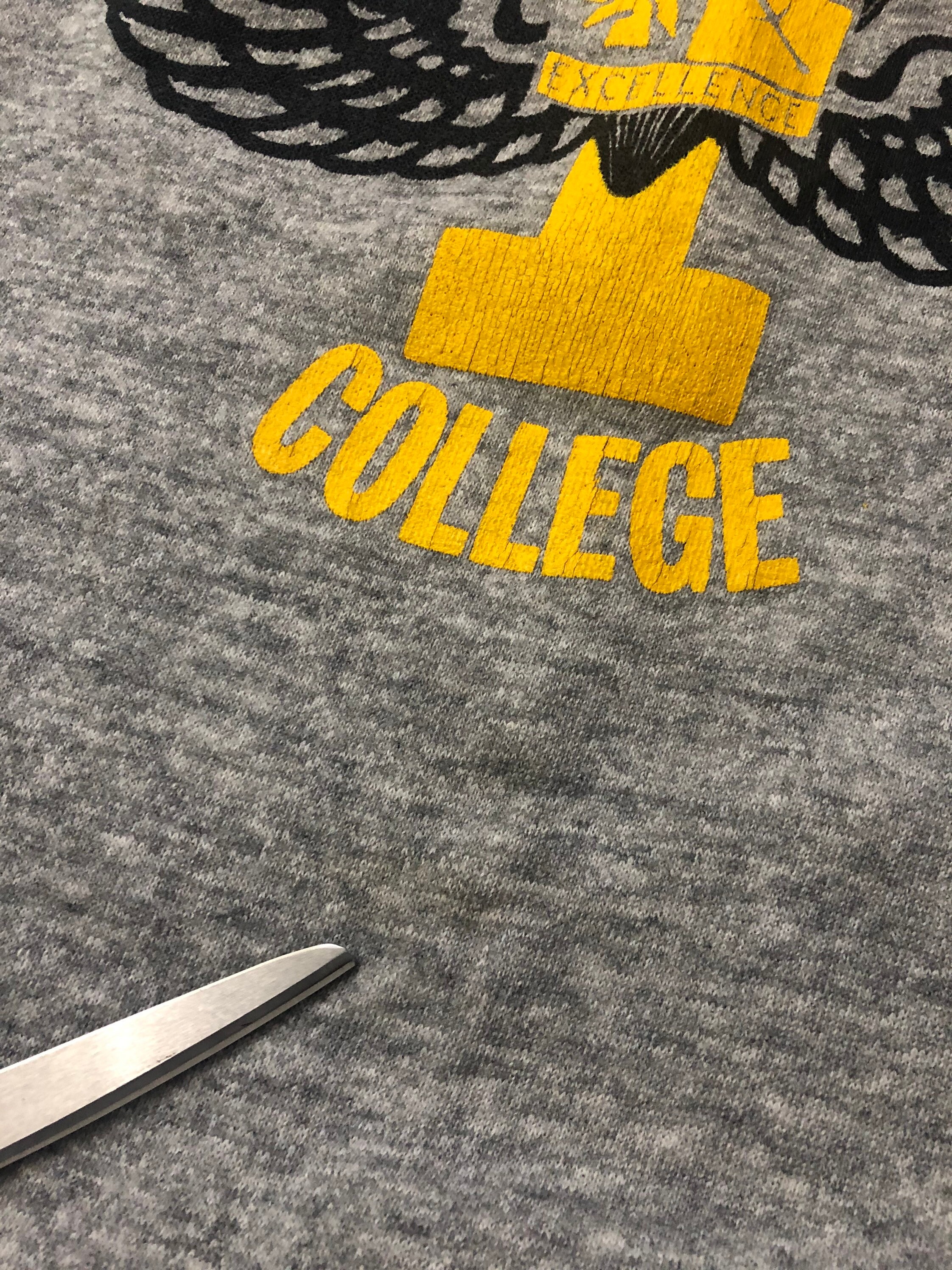 Stonehill clearance college sweatshirt