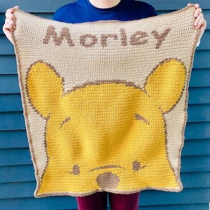 Crochet Winnie the Pooh Baby Blanket - Custom Handmade
