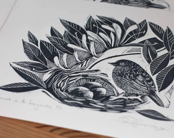 Dunnock in the honeysuckle limited edition linocut