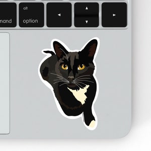 autocollant de chat | Sticker vinyle pour ordinateur portable | Sticker bouteille d'eau | Résistant aux rayures