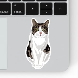 Tabby Cat Sticker | Laptop Sticker | Scratch Resistant