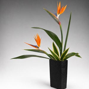 May include: A floral arrangement featuring two Bird of Paradise flowers with vibrant orange and blue petals, and green leaves. The flowers are in a textured black square vase. The arrangement is set against a soft gray background.