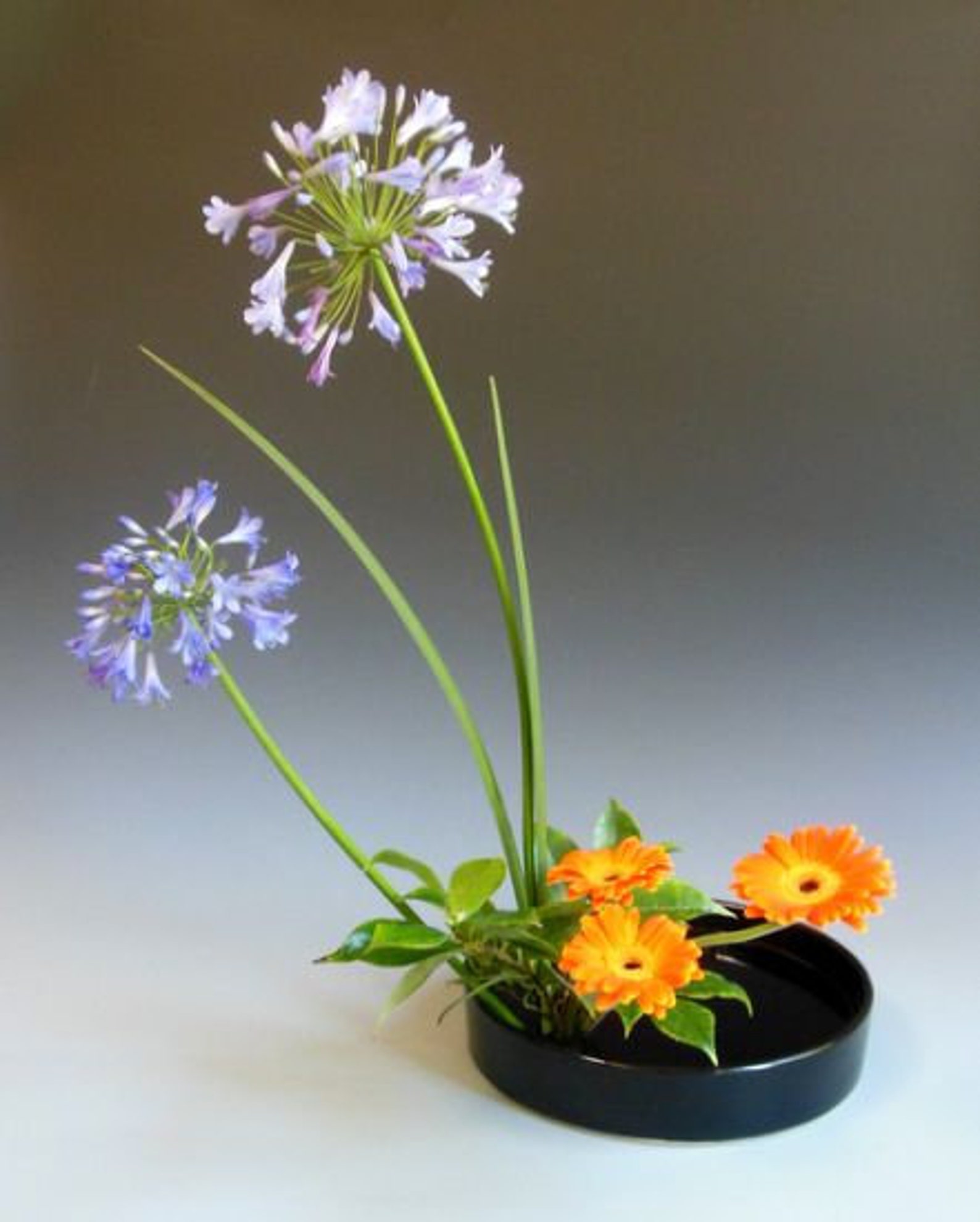 Ikebana Flower Vase, Japanese Round Ceramic Suiban Etsy