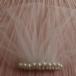 May include: A white tulle veil with a row of pearl embellishments.