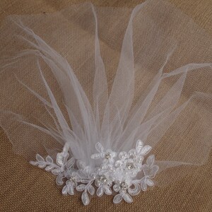 Peut inclure: Voile de mari&eacute;e blanc avec une d&eacute;licate bordure en dentelle florale et des embellissements de perles et de strass.