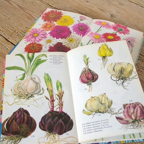 Vintage 2 volumes flower book, color flower illustrations, old botanical guide print, junk journaling, assemblage art, paper crafts ephemera