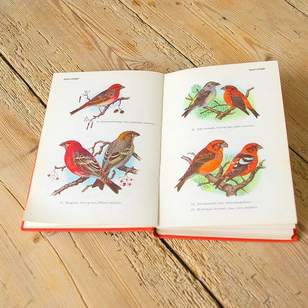 Vintage bird guide book, Vintage bird illustrations, Collage pages, Journaling supply, scrapbooking, wall decor, Swans ducks Owls songbirds