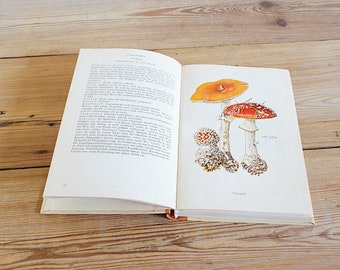 Vintage mushroom fungi book, botanical color illustration, toadstool field guide, drawing print wall, old colorful collage, bedroom gift