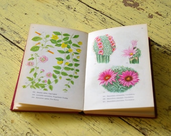 Vintage flower book guide houseplants, Vintage flower guide, 100+ color colour flower illustrations, Book pages, collage pages prints